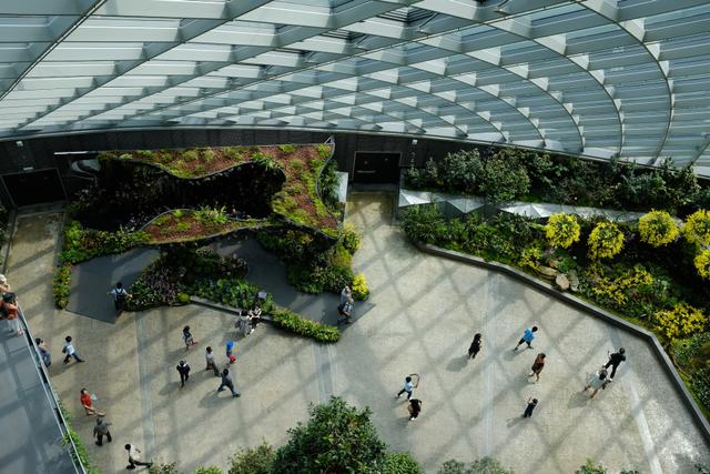 Ibu Kota Baru Bakal Usung Konsep Smart Forest City, Apa Itu?