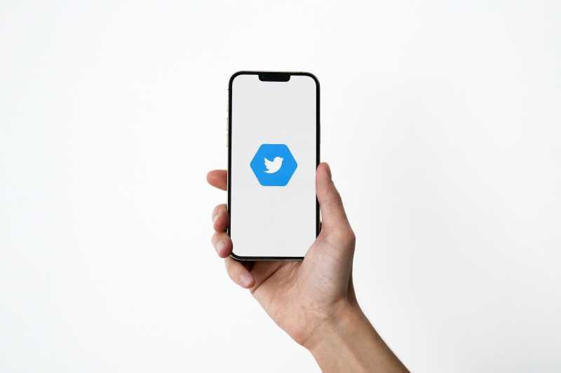 X Mau Diusir, Demo Netizen Hingga Munculnya Twitter versi Lokal