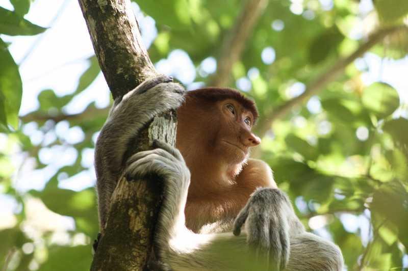 <i>Gak</i> Cuma Hutan, ini 4 Destinasi Seru di Kalimantan Utara