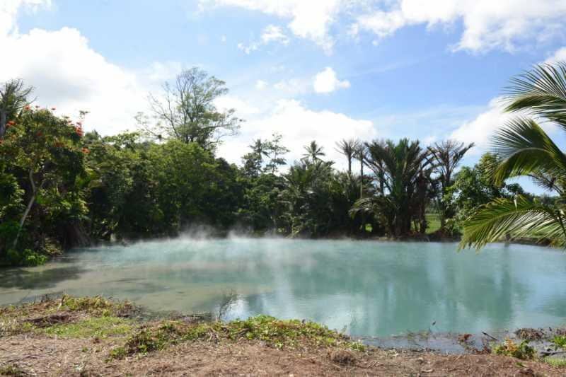 Pasar Hutan Ranolewo, Ada Pasar di Tengah Hutan?