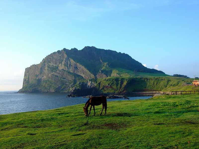 5 Pilihan Wisata Alam di Pulau Jeju Korea Selatan