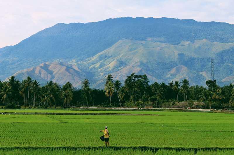 Target 2,5 Juta Petani Milenial Digital di 2026, Telkom Siapkan Agree