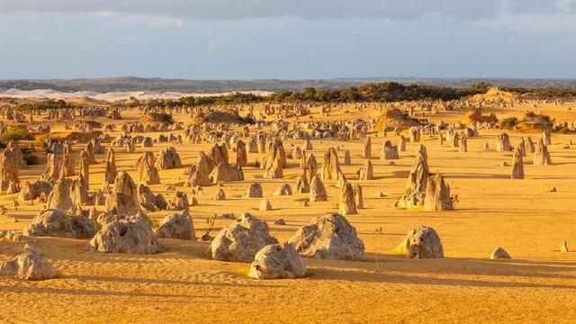 Pinnacles, Gurun Pasir Berbatu Lancip di Australia Barat