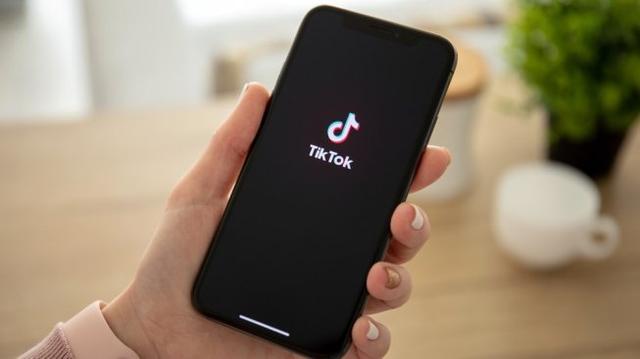 Aplikasi Tiktok Dilarang di India