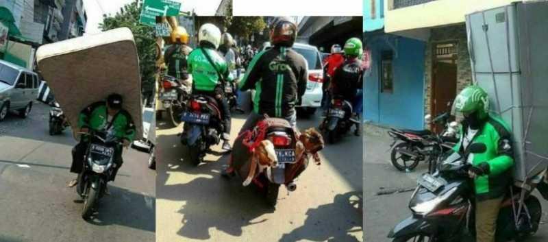 5 Potret Perjuangan Driver Ojek Online Antar Barang Tak Lazim