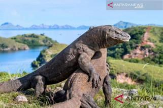 Unesco Soroti Sampah Wisata Pulau Komodo