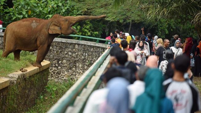 Saat Piknik ke Kebun Binatang Ragunan Jadi Agenda Tahunan