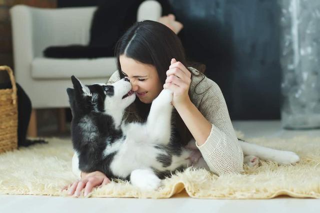 3 Risiko Kesehatan yang Mungkin Terjadi Jika Anda Dijilat Anjing