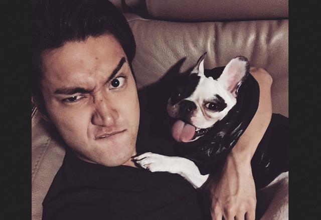 Beredar Rekaman CCTV Anjing Siwon Super Junior Gigit Tetangga