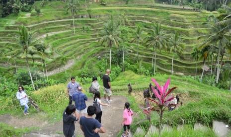 Pavel Durov Promosikan Bali via Instagram