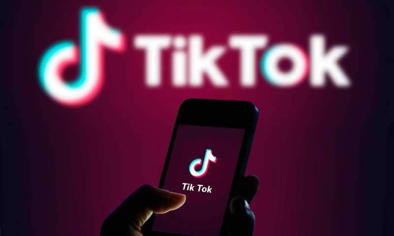 Langgar Protokol Covid, Artis TikTok Viensboys Terancam 1 Tahun Penjara