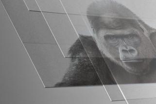 Mengenal Gorilla Glass DX yang Diklaim Lindungi Lensa Kamera Smartphone